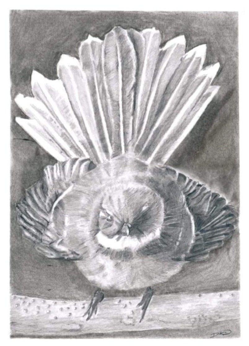 Black and white illustration of a piwakawaka (New Zealand fantail bird)