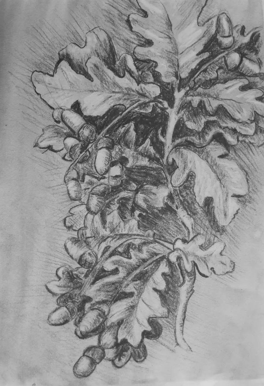 September The Art of pencil drawing workshop