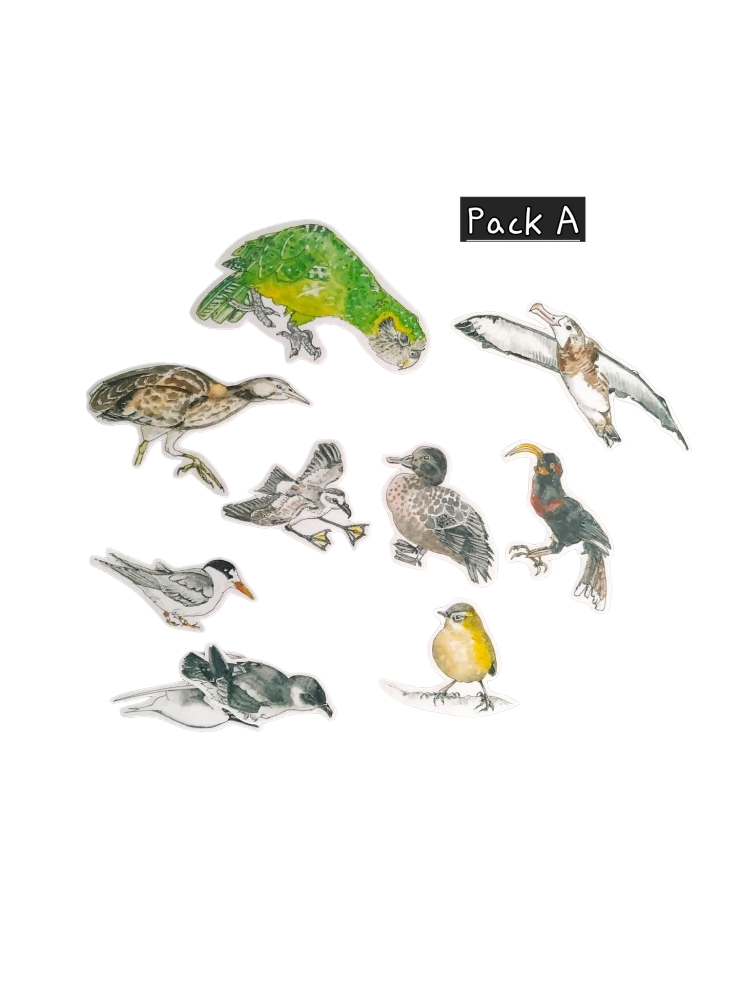 NZ endangered birds magnet boards.