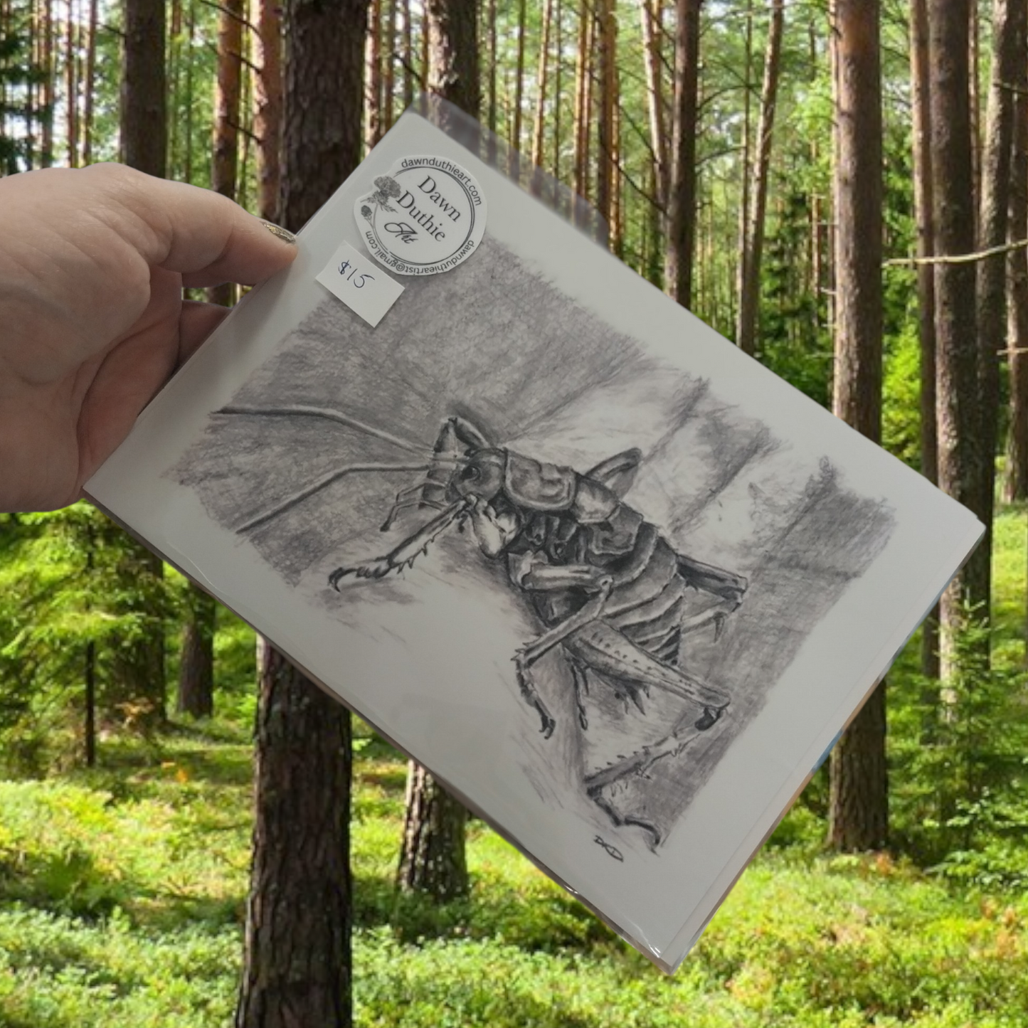 Matte photo prints: Tui, piwakawaka, or weta.