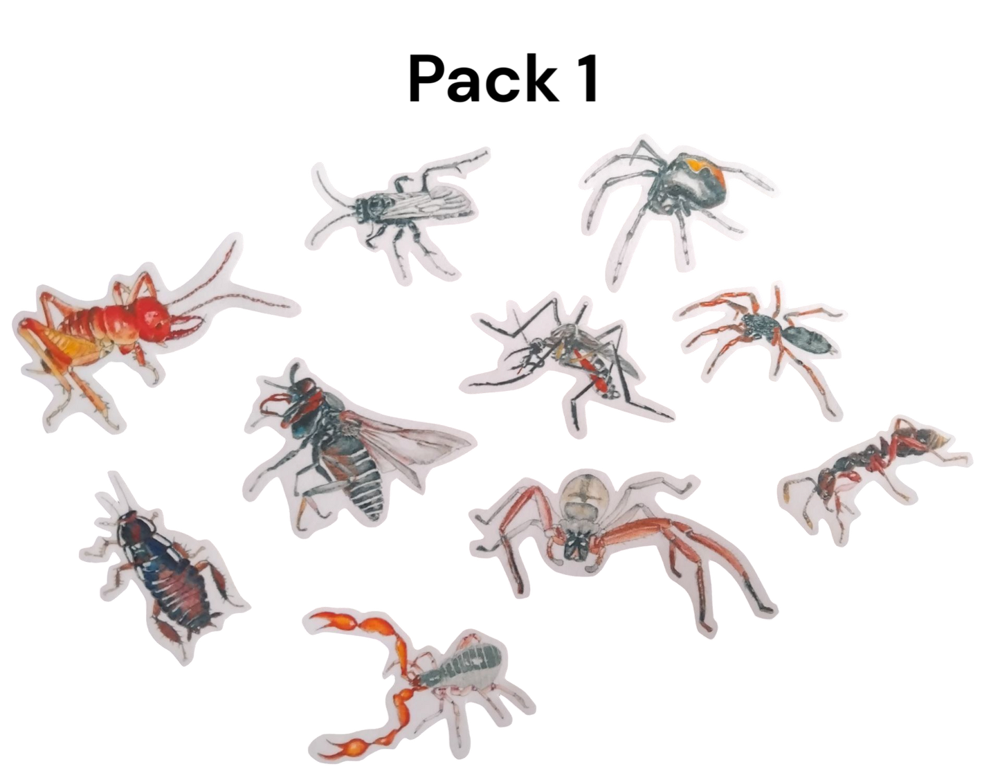 NZ critter magnet boards.