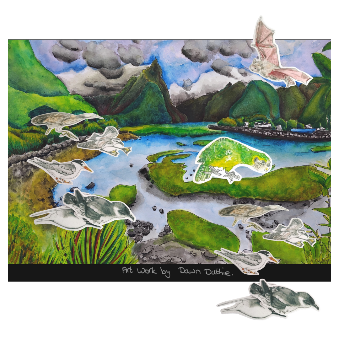 NZ endangered birds magnet boards.