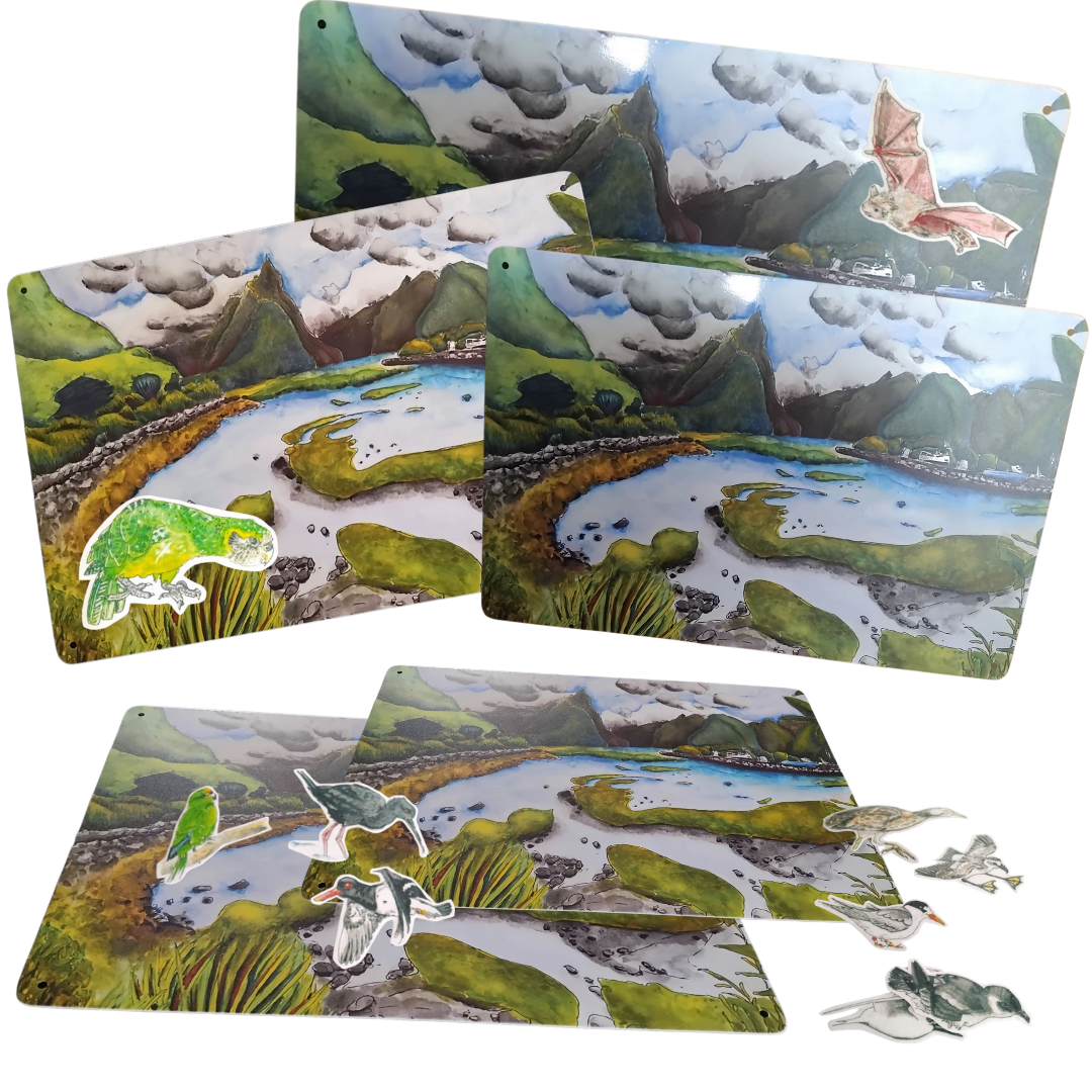 NZ endangered birds magnet boards.