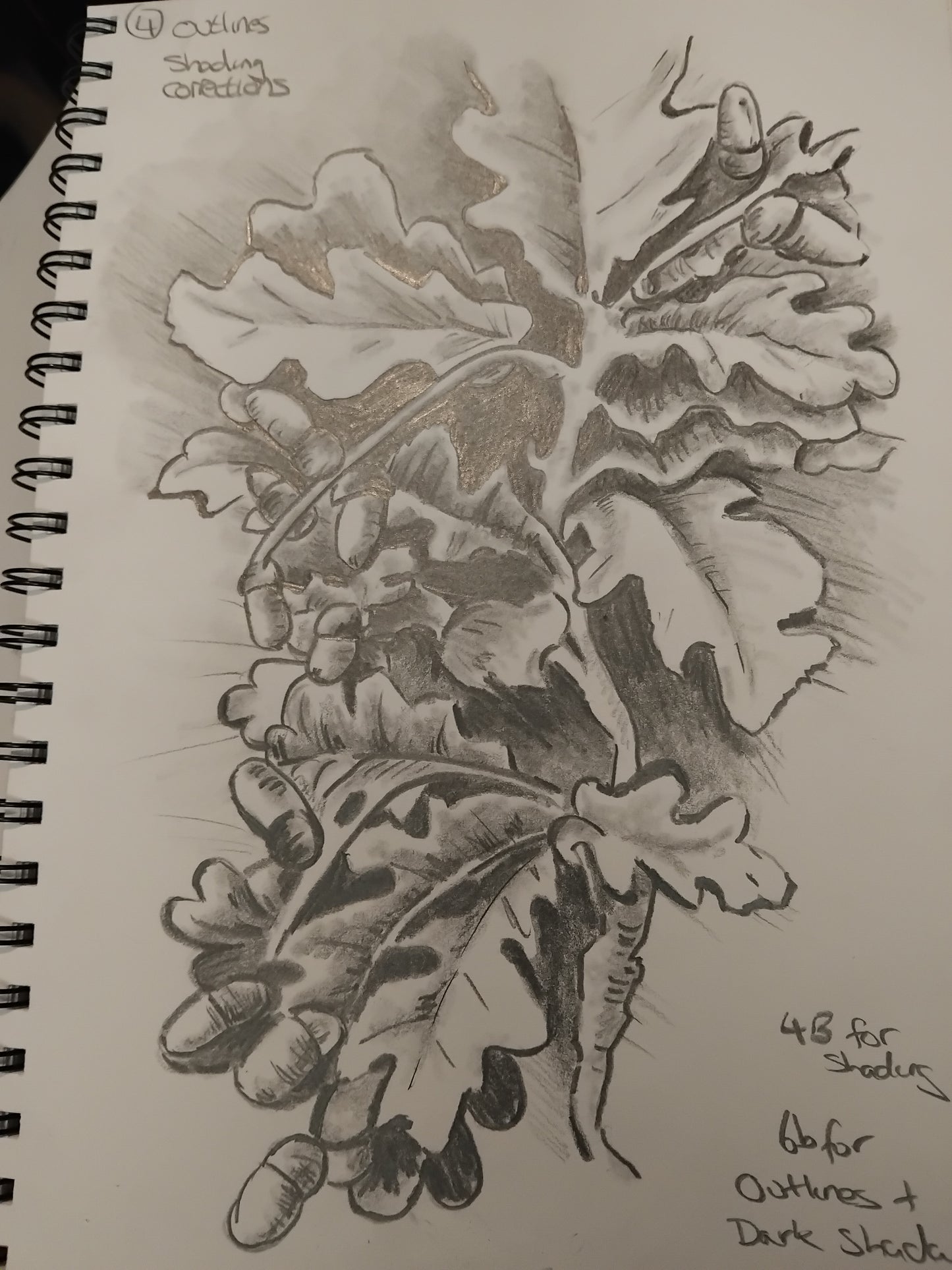 November The Art of pencil drawing workshop