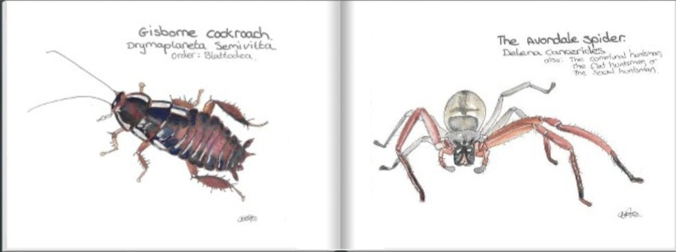 A Tiny book of nz critters.