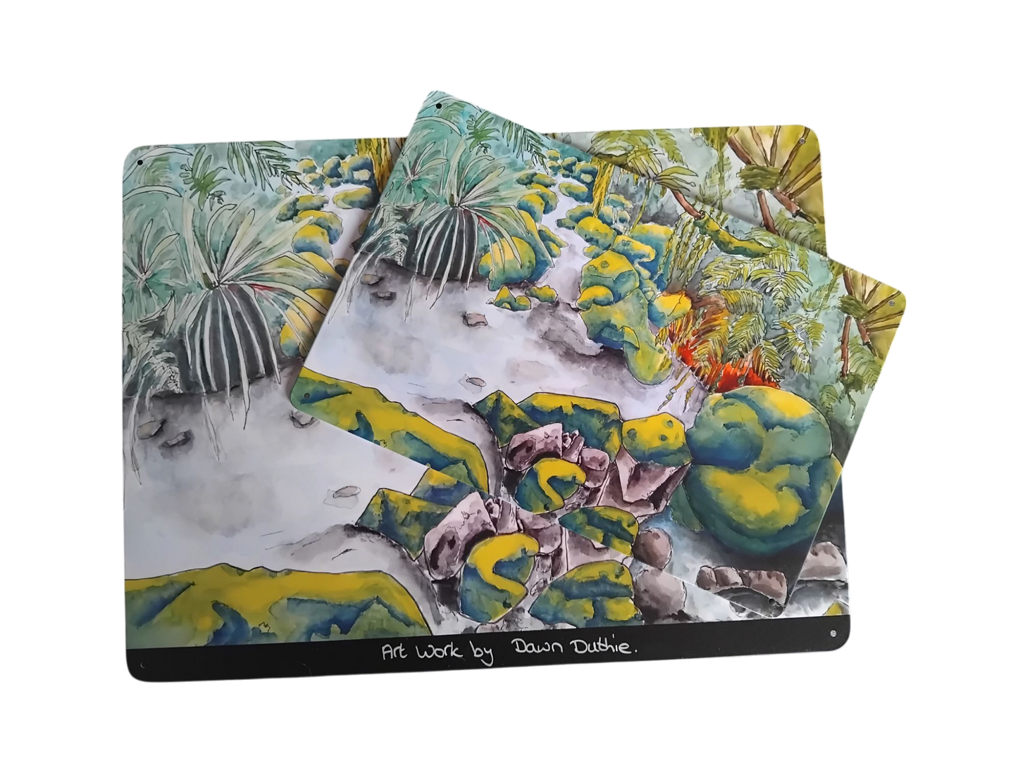 NZ critter magnet boards.