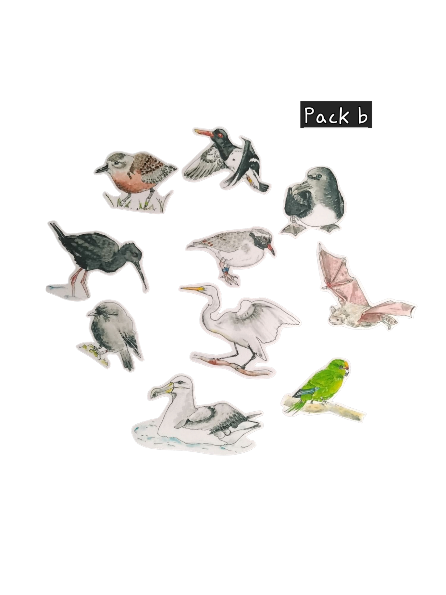NZ endangered birds magnet boards.