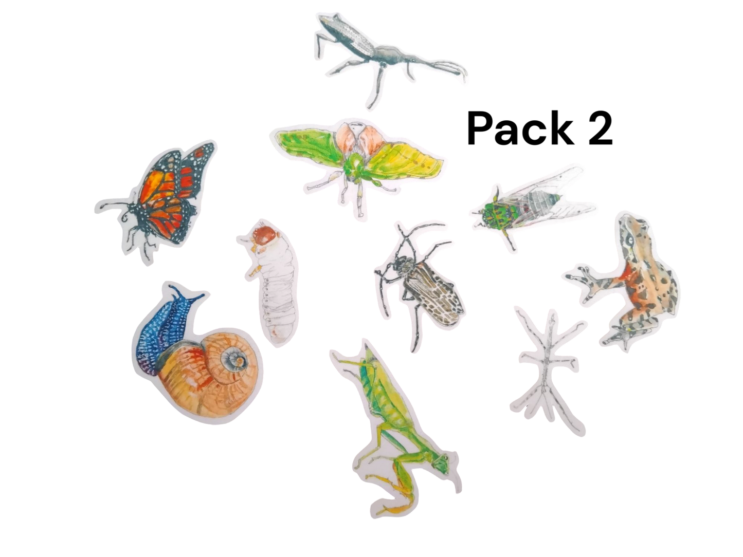 Educational Native Wildlife NZ Insects Magnet Story Telling Board