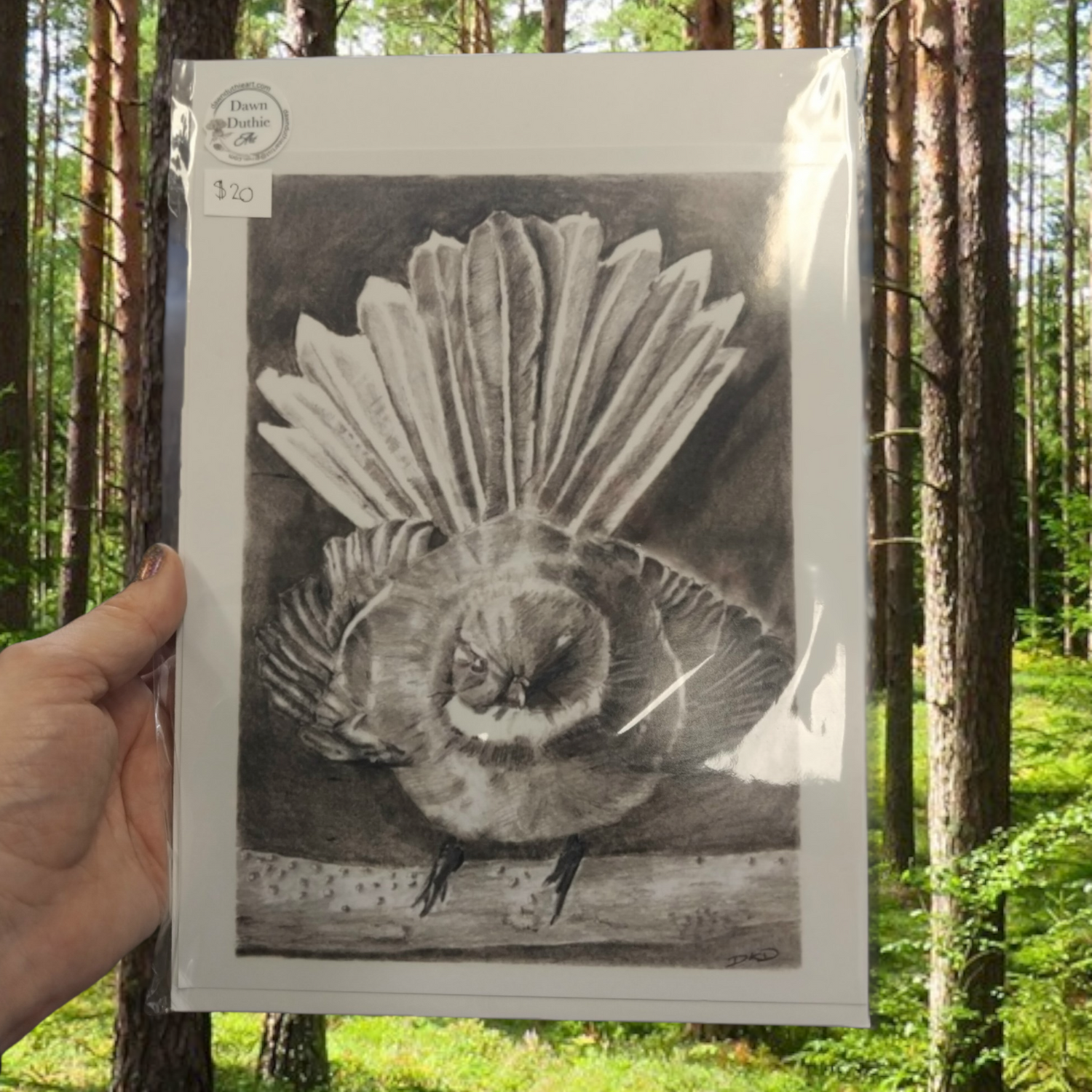 tui, weta, piwakawaka graphite drawing prints and things