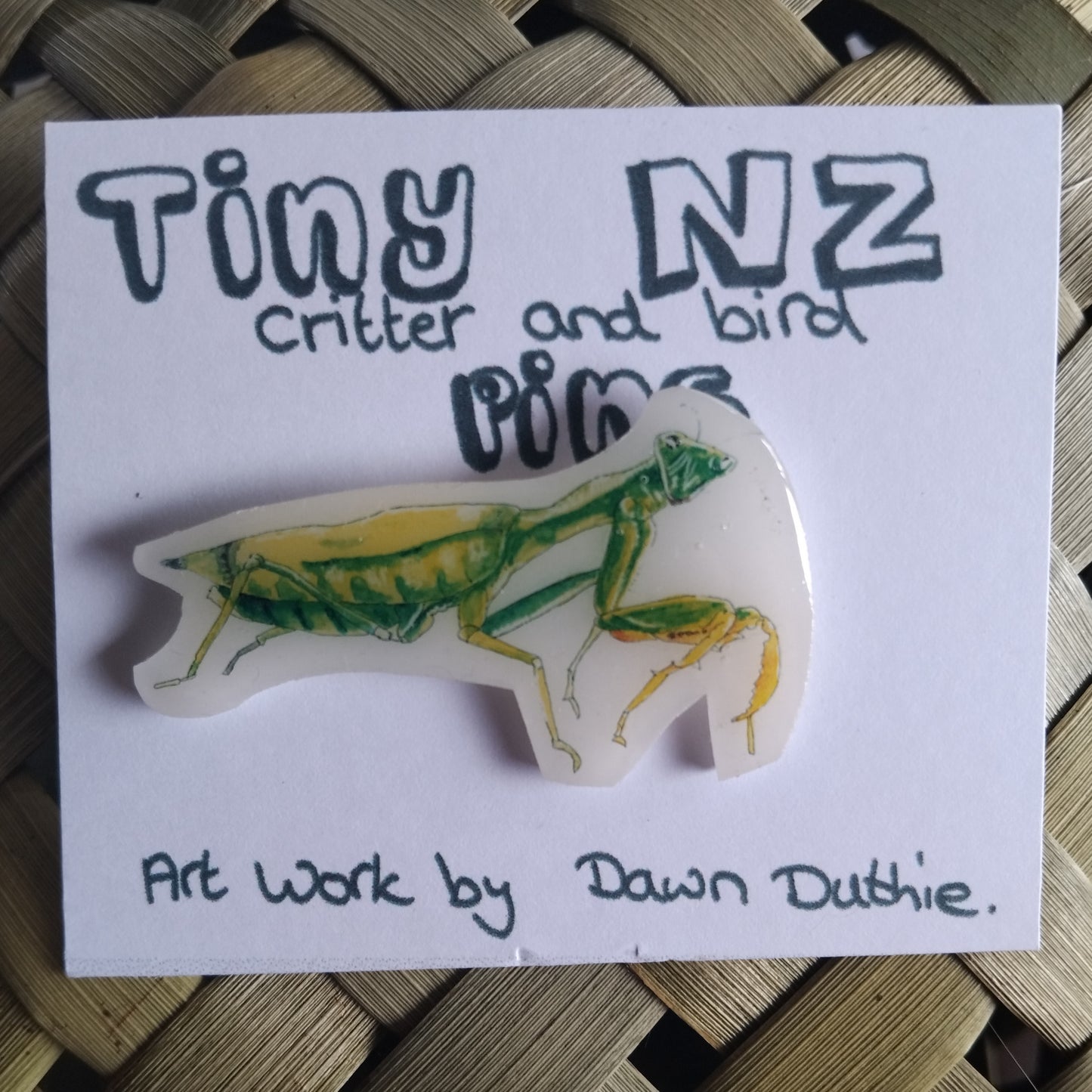 All the Tiny NZ critter and bird pins.