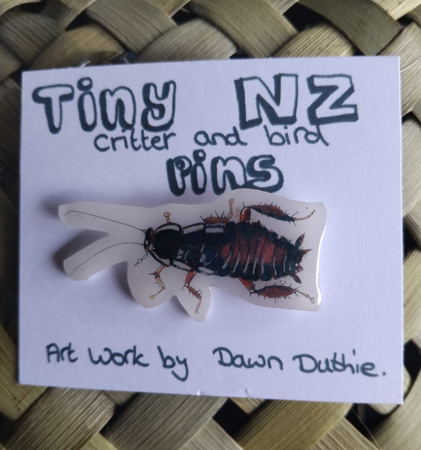 All the Tiny NZ critter and bird pins.