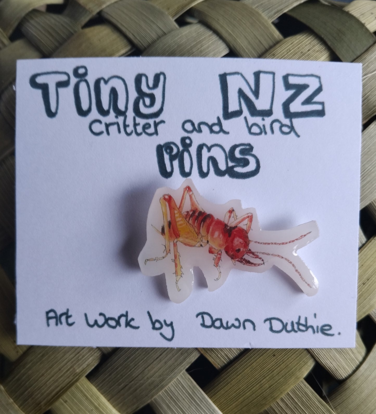 All the Tiny NZ critter and bird pins.