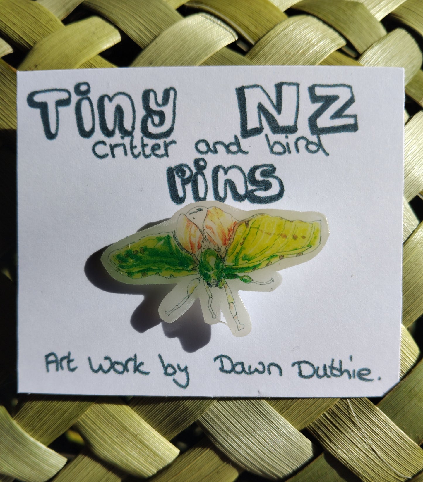 All the Tiny NZ critter and bird pins.