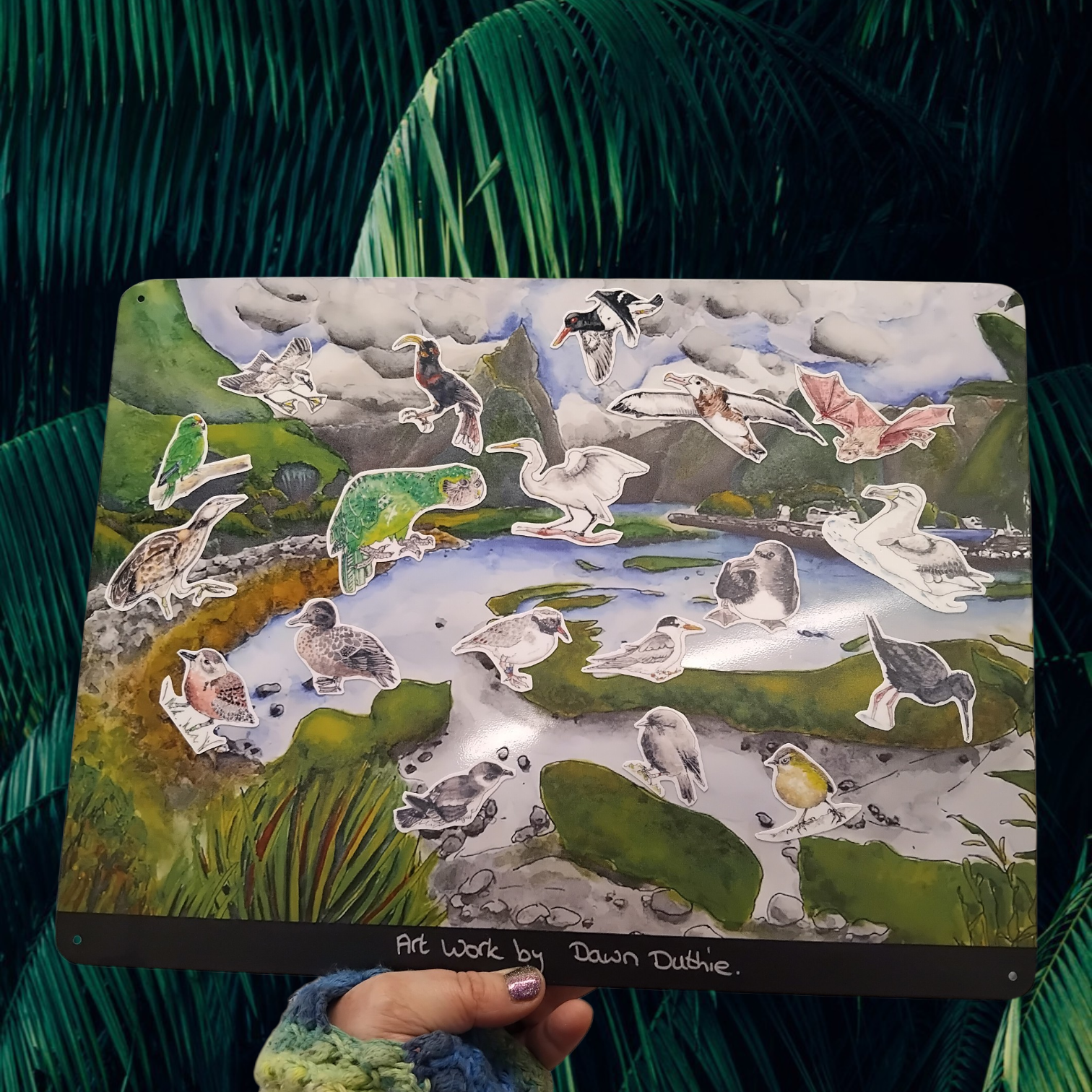 NZ Critically Endangered Native Birds Magnet Educational Scientific Educational Wildlife gift