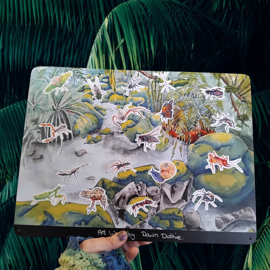 NZ Native Insect Magnet Educational Scientific Educational Wildlife gift