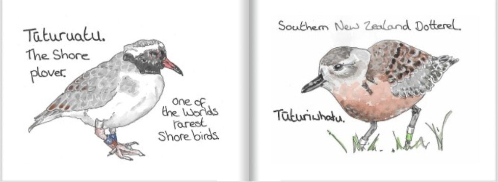 A Tiny book of nz birds.