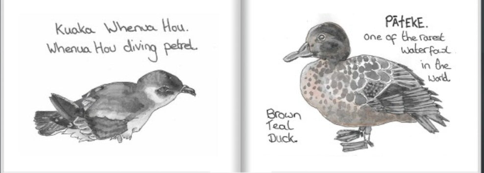 A Tiny book of nz birds.