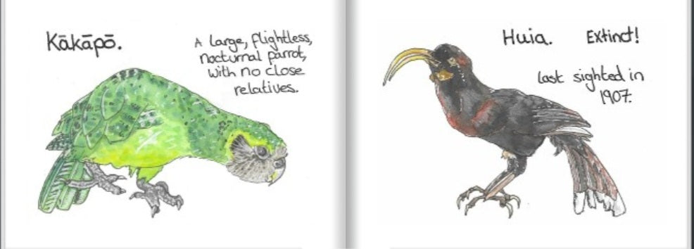 A Tiny book of nz birds.