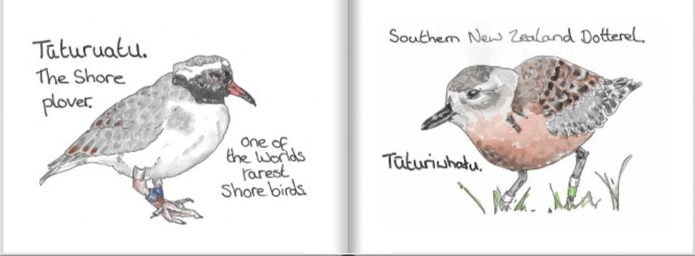 A Tiny book of nz birds.