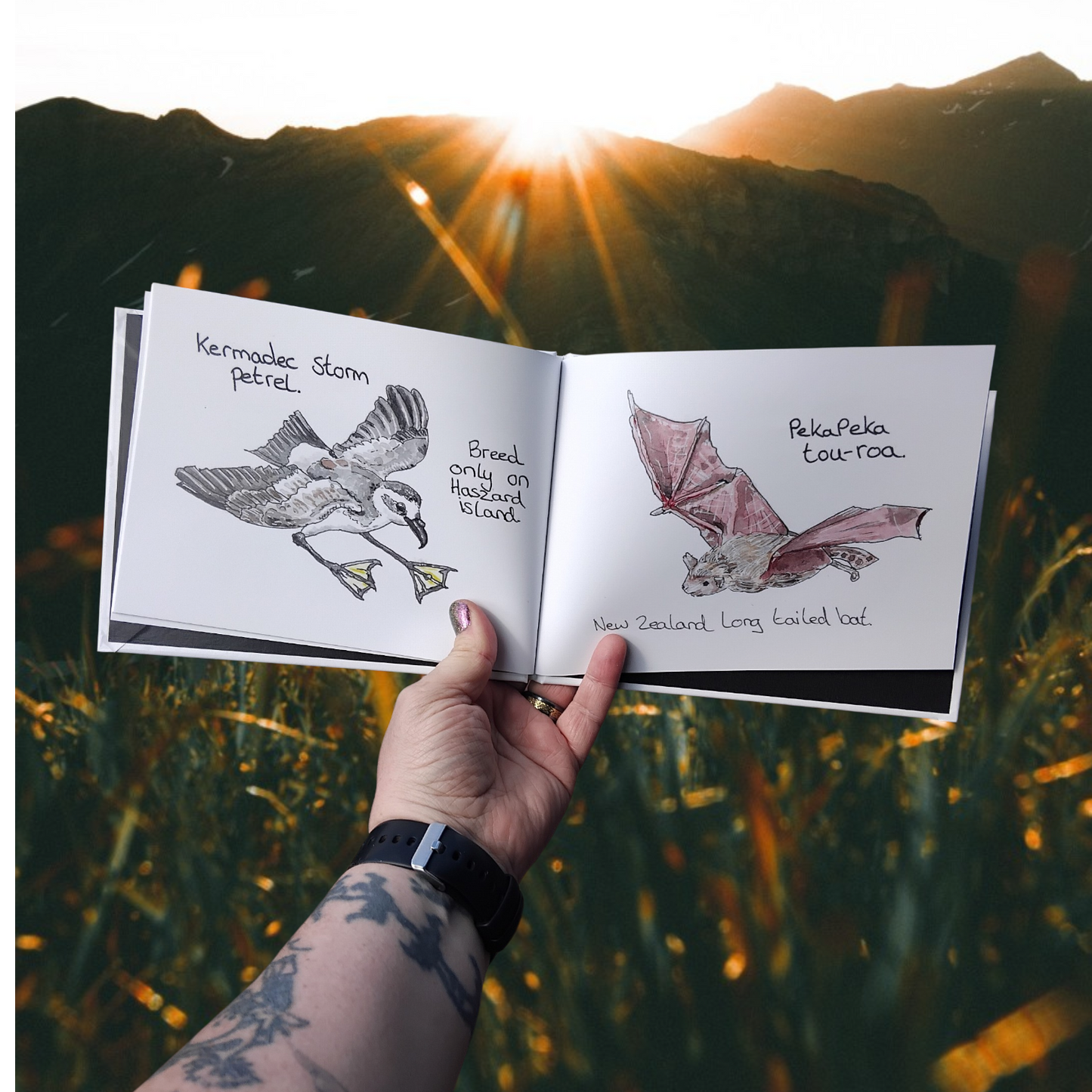 Hand holding a notebook with paintings  of Nz Endangered Birds, a Kermadic Storm Petrol and an Aotearoa Short Tailed Bat Peka Peka Tou Roa against a mountainous landscape with sunset.