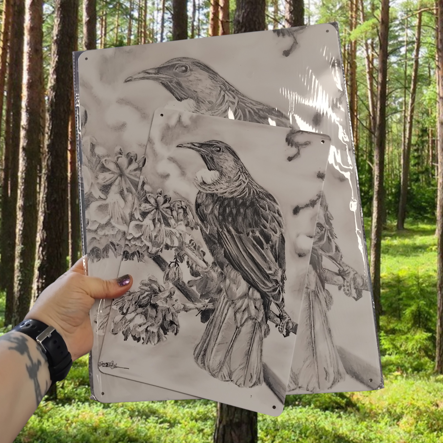 Two illustrations of tui birds on a metal sheet held in front of a forest background