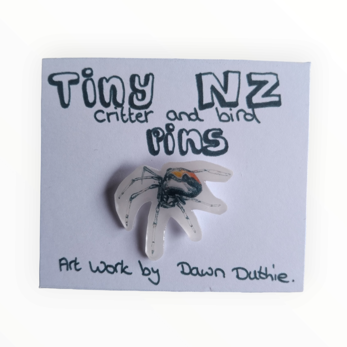 All the Tiny NZ critter and bird pins.