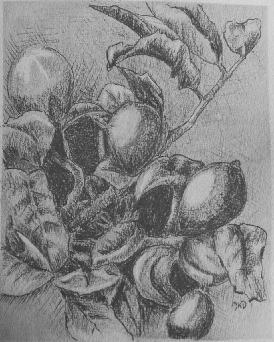 September The Art of pencil drawing workshop