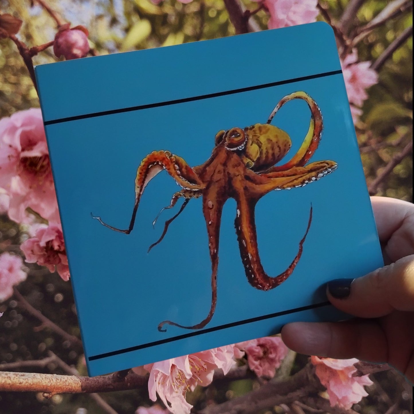 A hand holds a square baby board book featuring a detailed watercolour illustration of a wheke maori octopus in orange-brown tones, with pink blossoms and branches blurred in the background.