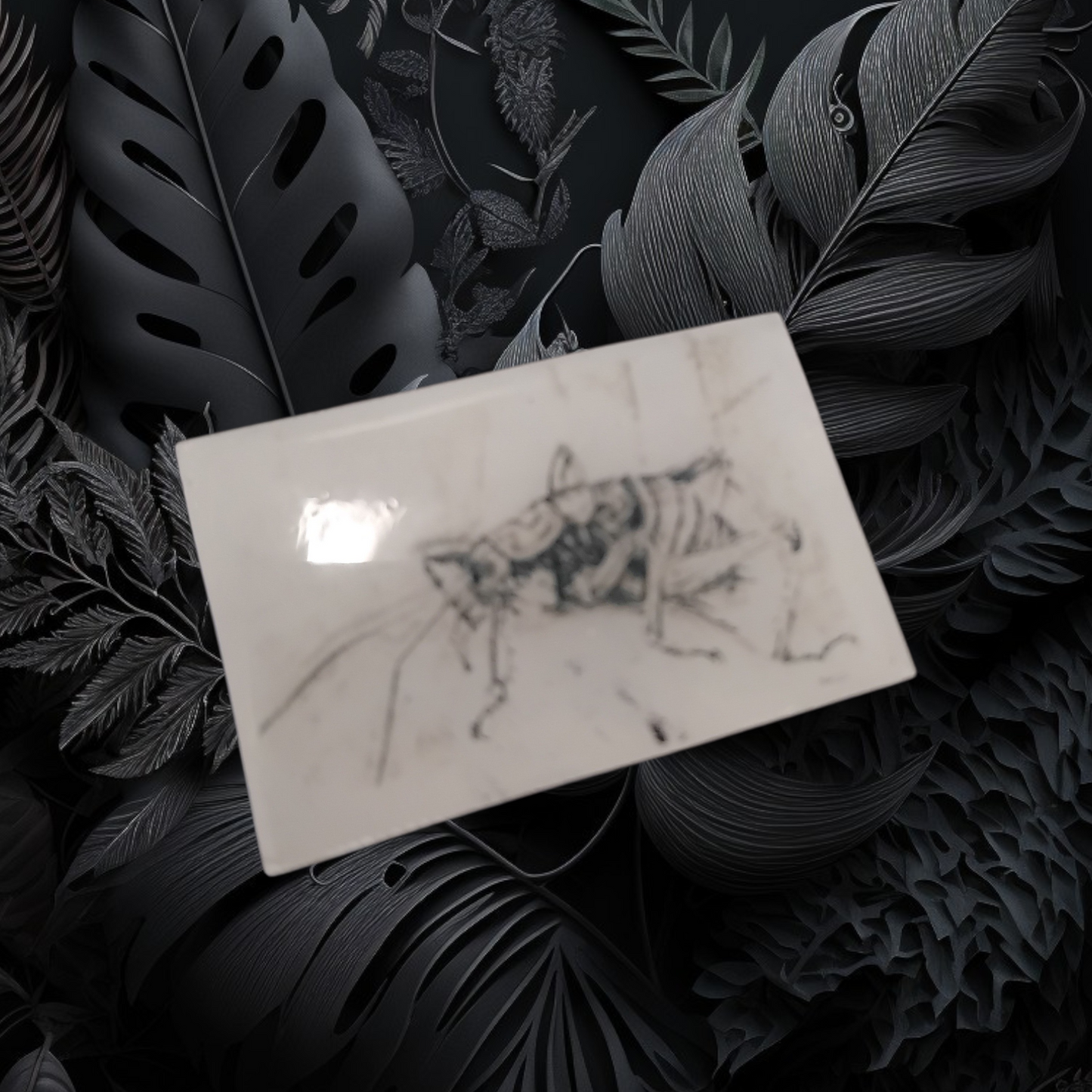 Tui, piwakawaka or weta, graphite sketch pins.