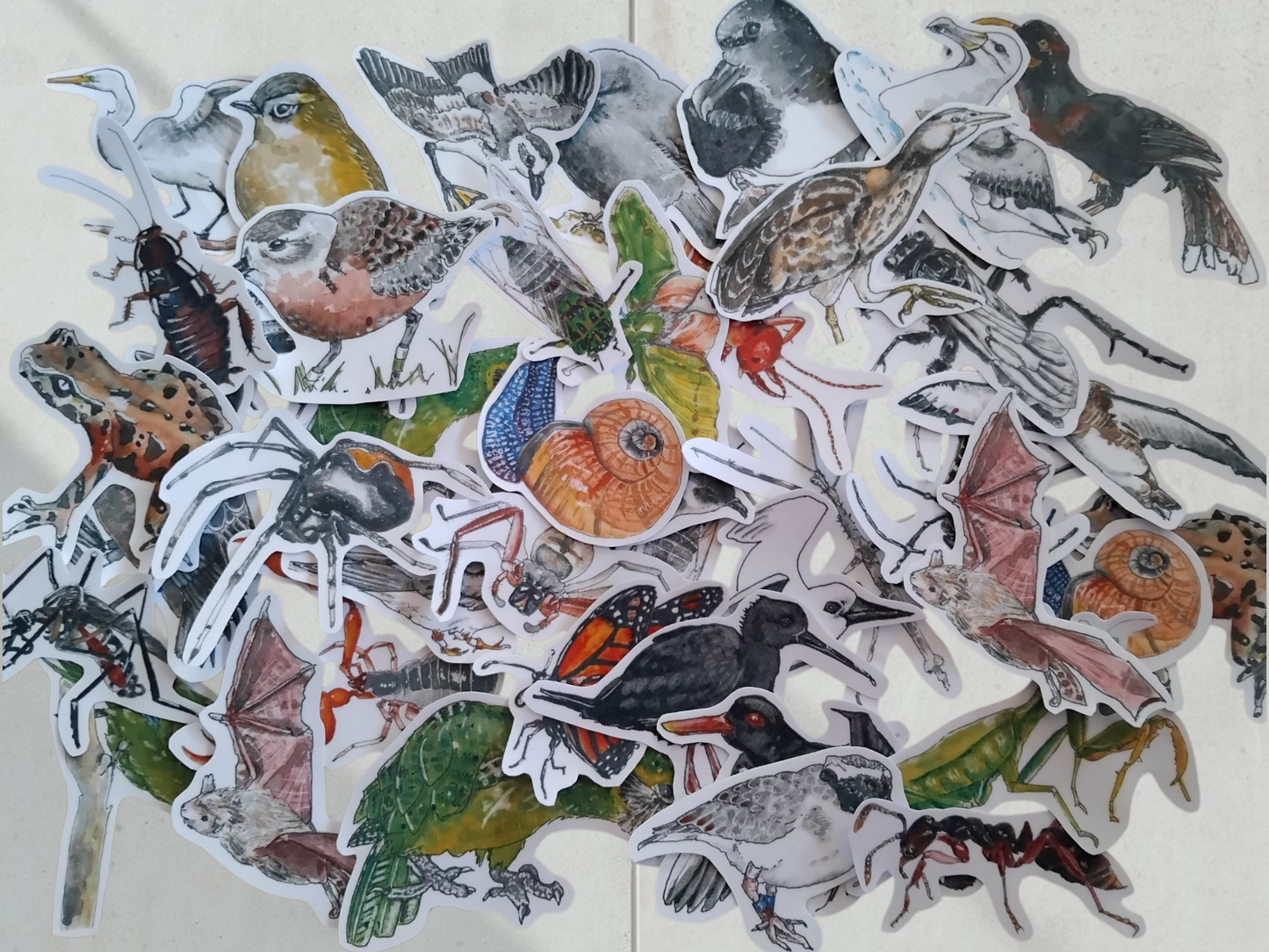 Collection of various bird and animal stickers on a white background