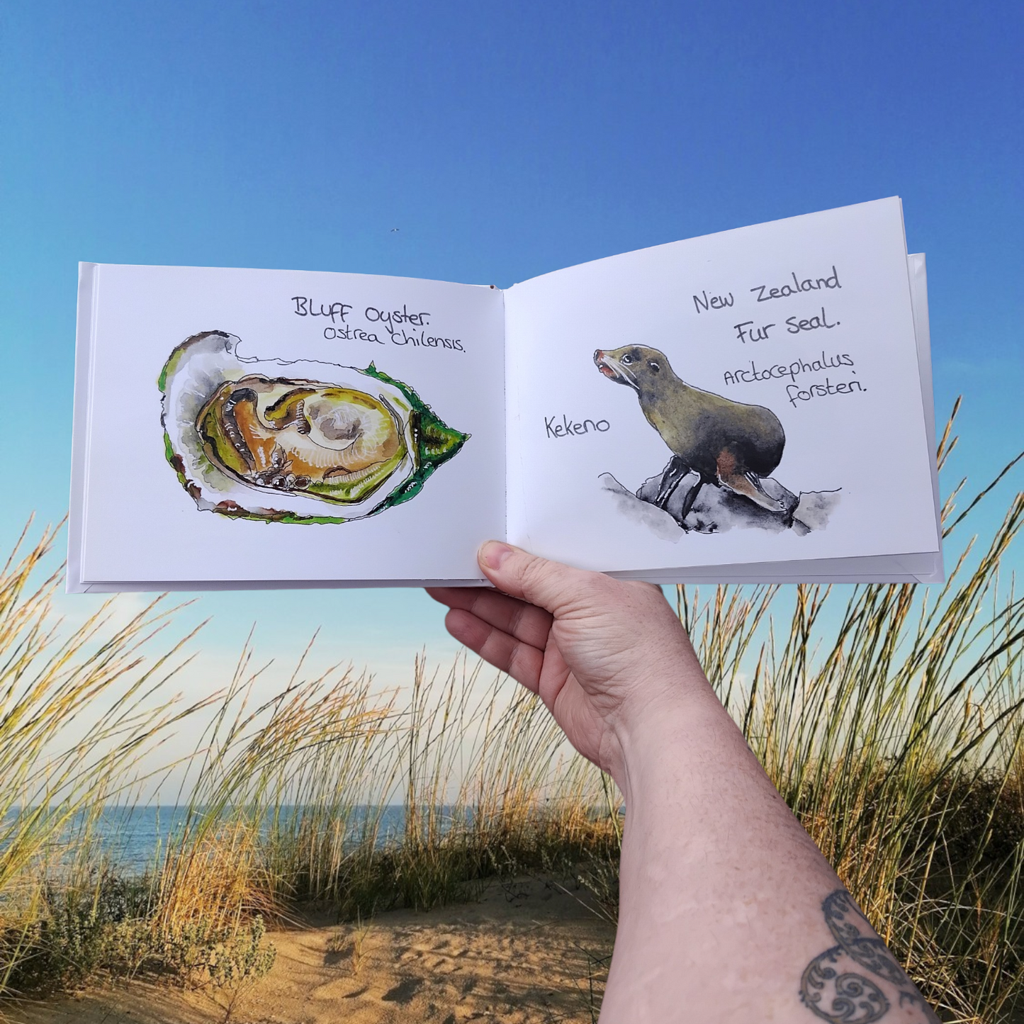 New Zealand Sea Creature Book – Educational Aotearoa Nature & Conservation Watercolour Art Oceans