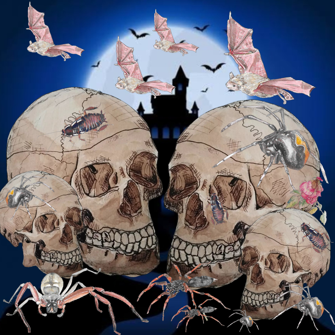 Halloween watercolour workshop. (26th Oct)