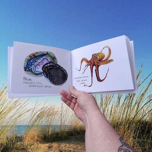New Zealand Sea Creature Book – Educational Aotearoa Nature & Conservation Watercolour Art Oceans