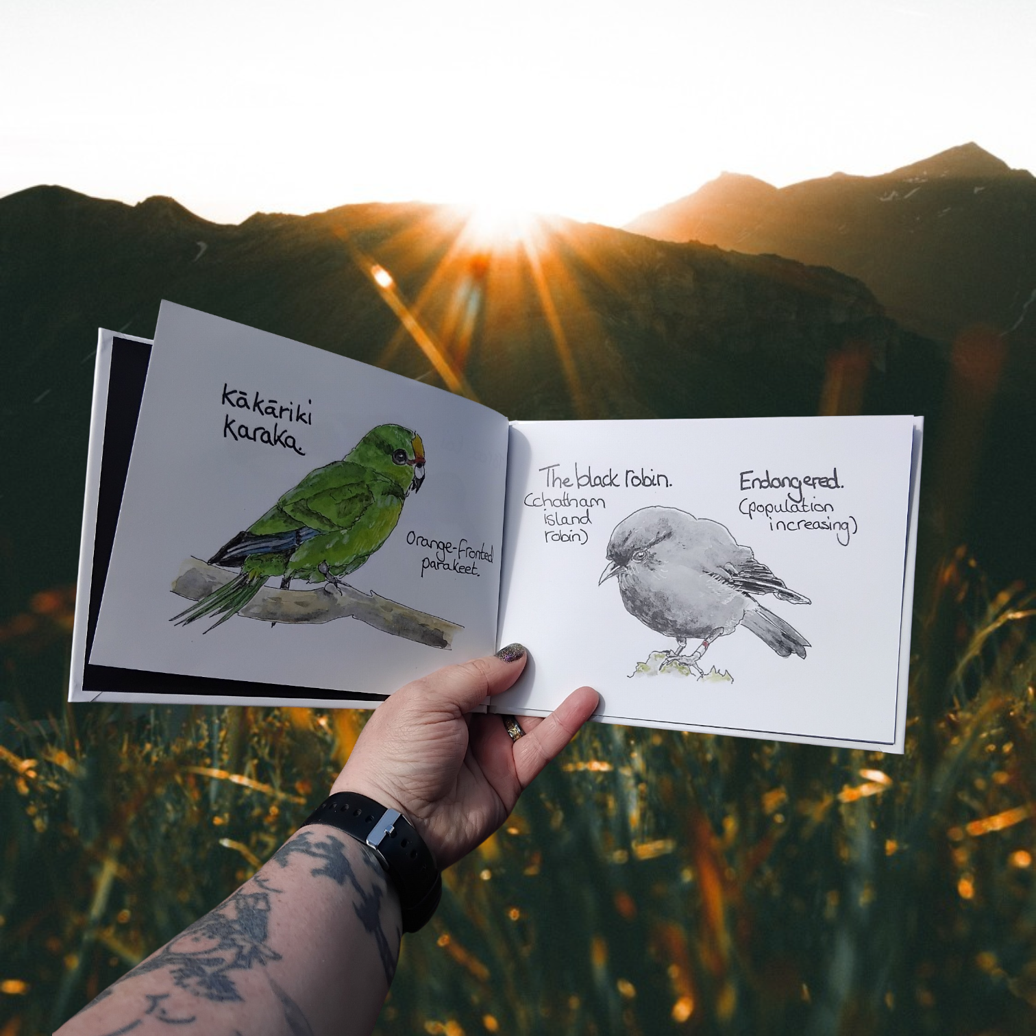 Hand holding a NZ book with an Aotearoa Kakariki karaka Orange Faced Parakeet and a Black Robin Watercolour illustrations against a mountainous landscape