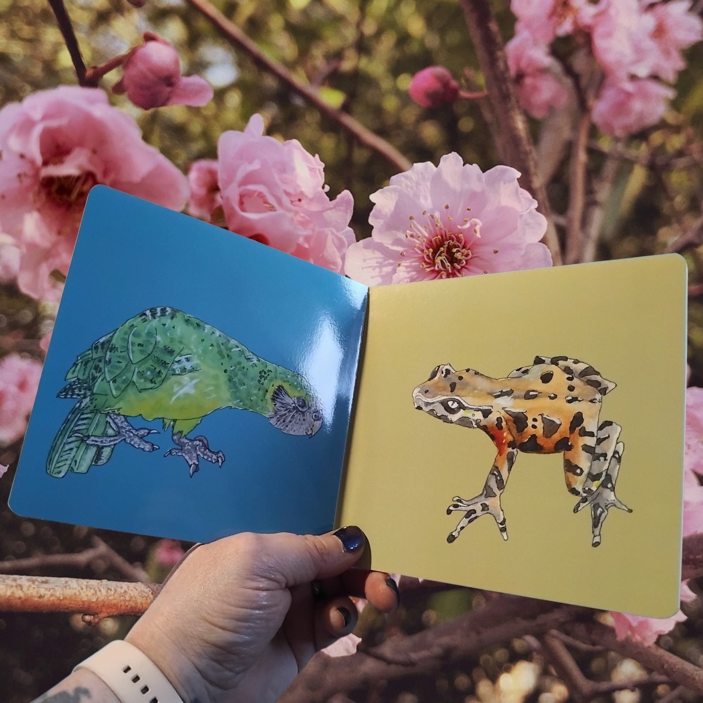 A hand holds an open children's board book showing two illustrated animals: a green kakapo bird on a blue page and a spotted archeys frog on a pale yellow page, with pink flowers and tree branches in the background.