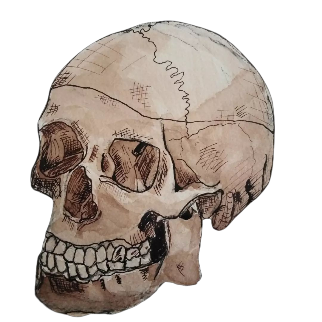 Halloween watercolour workshop. (26th Oct)