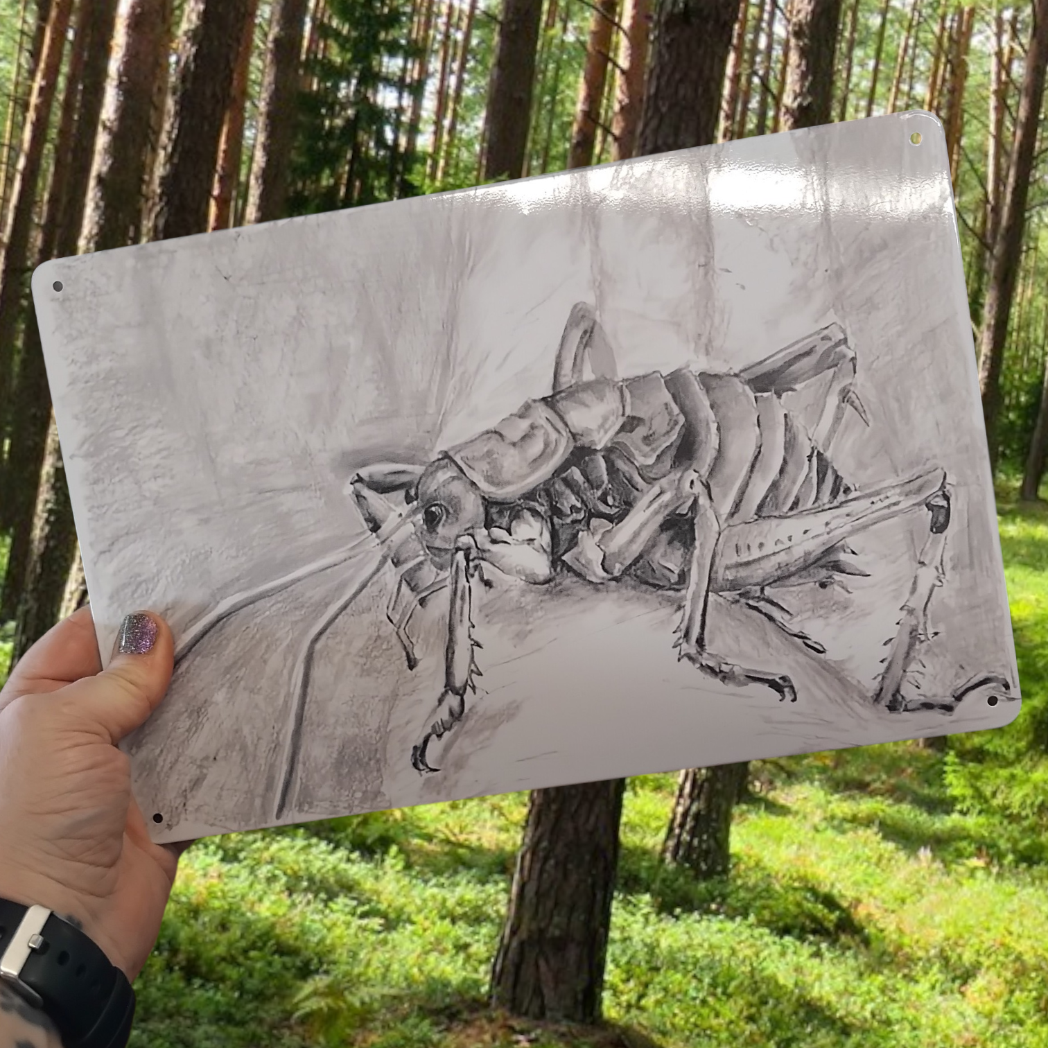 Person holding a detailed pencil drawing of a  NZ giant weta insect printed on metal in a forest setting