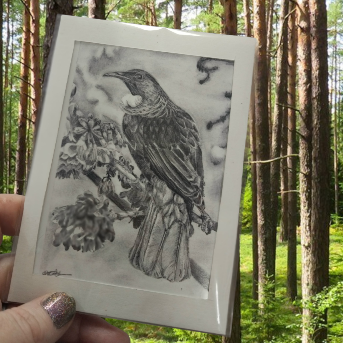 Matte photo prints: Tui, piwakawaka, or weta.