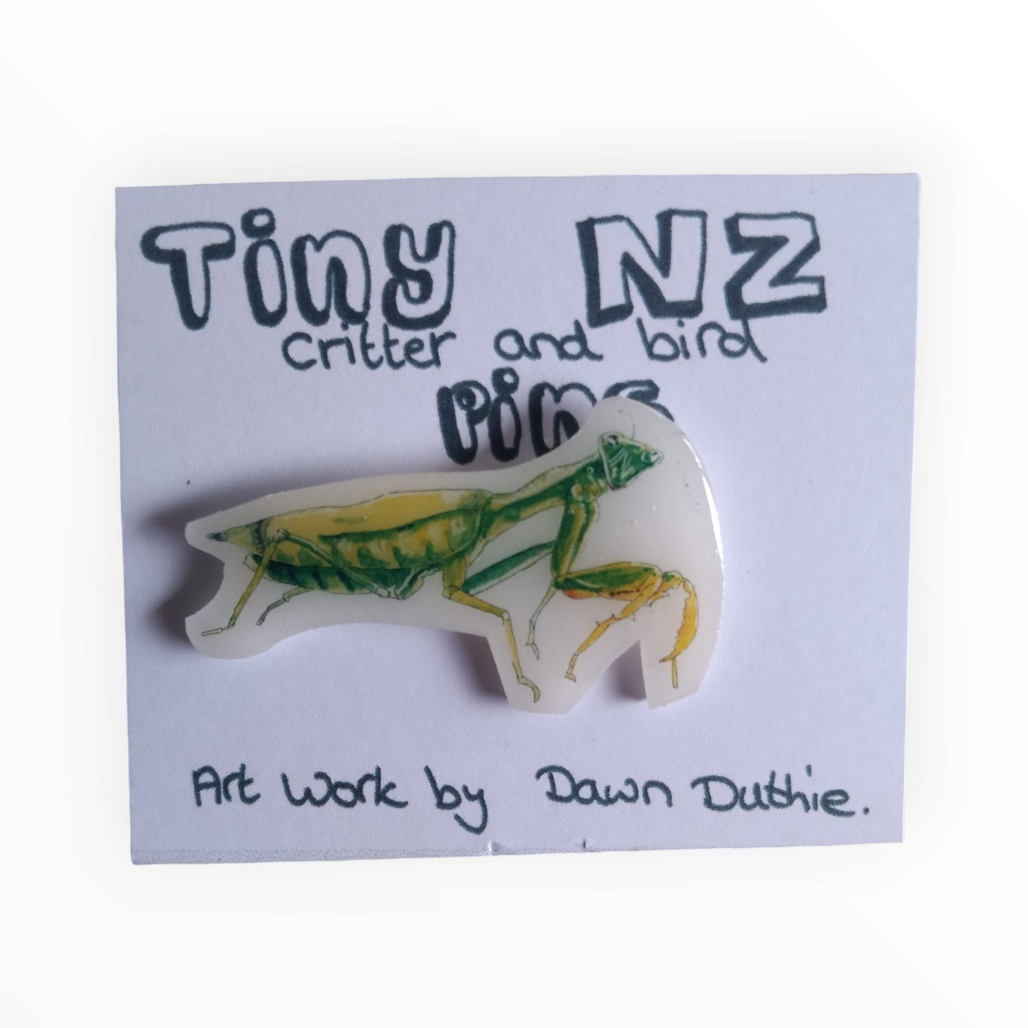 All the Tiny NZ critter and bird pins.