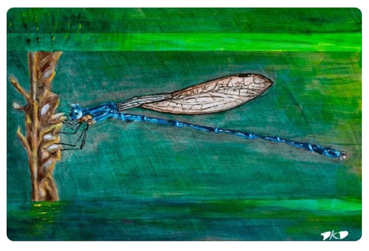 Fine art print. Damselfly